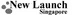 Article Author Biography